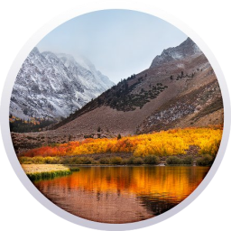 MacOS High Sierra Subversion